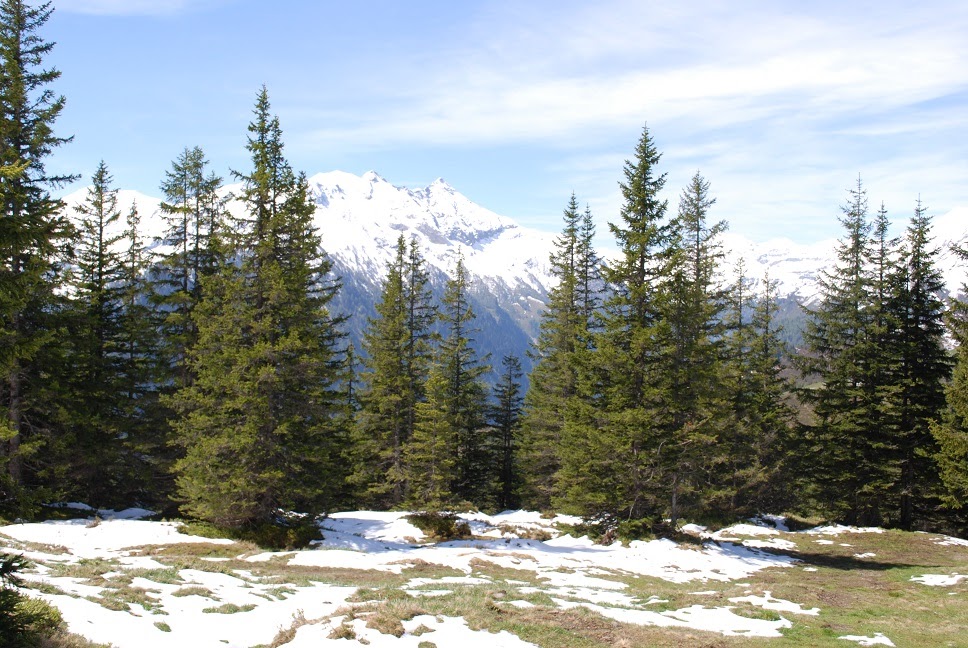 Воплощение мечты об Альпийских прогулках (Высокий Тауэрн), немного Шопрона и Праги