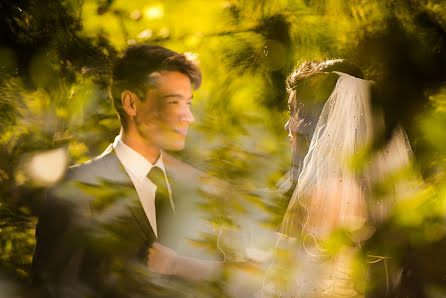 Fotografo di matrimoni Francisco Alvarado León (franciscoalvara). Foto del 1 dicembre 2016