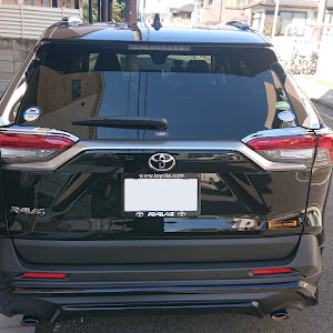 RAV4 MXAA54