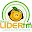 Rádio Lider FM Laranja da Terra Download on Windows