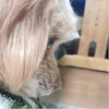 ユーザー