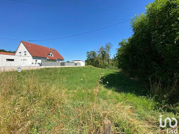 terrain à Neewiller-près-Lauterbourg (67)