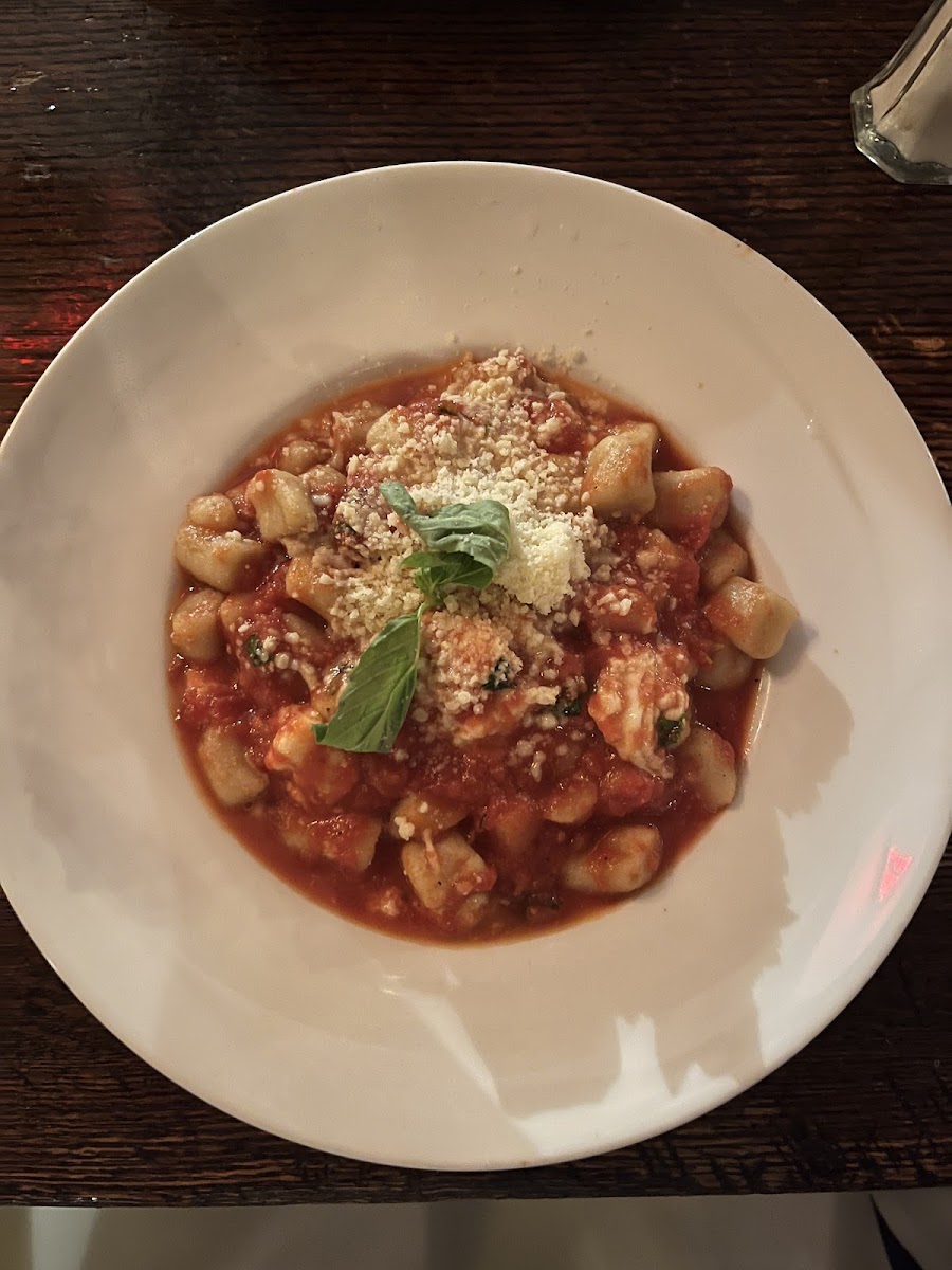 the gnocchi with tomato sauce and mozzarella