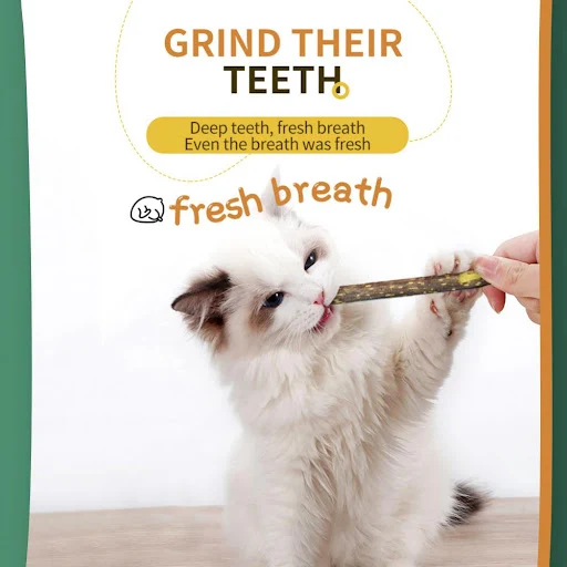 set Catnip Stick Natural Cat Cleaning Teeth Molar Toothpaste Stick Molar Toothpaste Stick Cleaning Teeth Pet Accessories