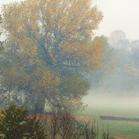 La nebbia del primo mattino... di 