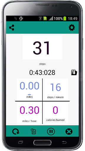 Pedometer Steps Counter