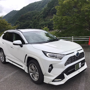 RAV4 AXAH54