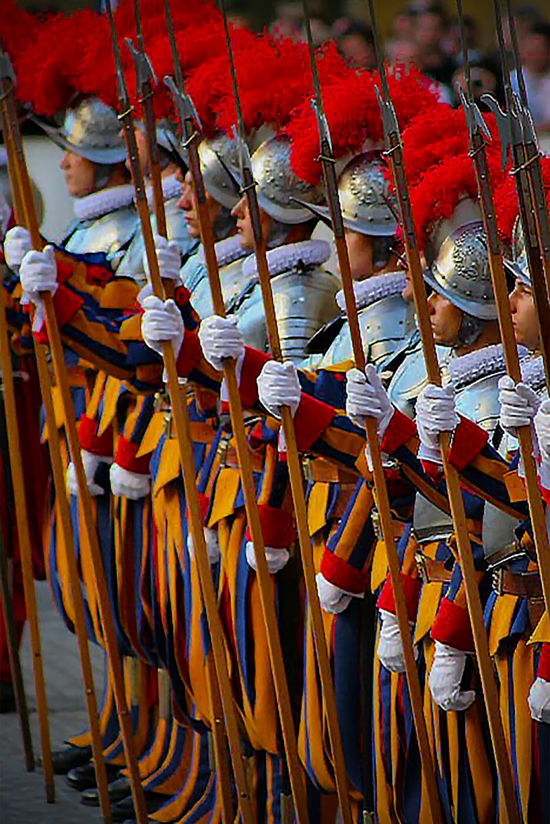 guardia svizzera di vincenzo_spera