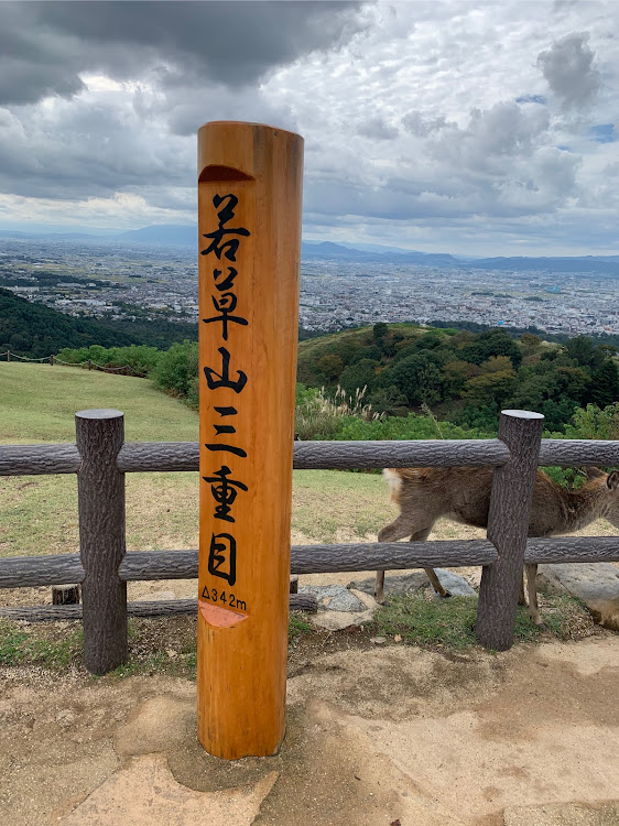 スカイラインの早朝ドライブ・奈良奥山ドライブウェイ・鹿に関するカスタム事例の投稿画像3枚目