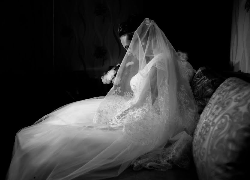 Wedding photographer Inna Demchenko (dinna444). Photo of 10 November 2016