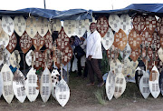 Julius Ntuli sell his traditional shields where thousands of the Ebuhleni faction of the Nazareth Baptist Church members are gathered for their annual pilgrimage. 