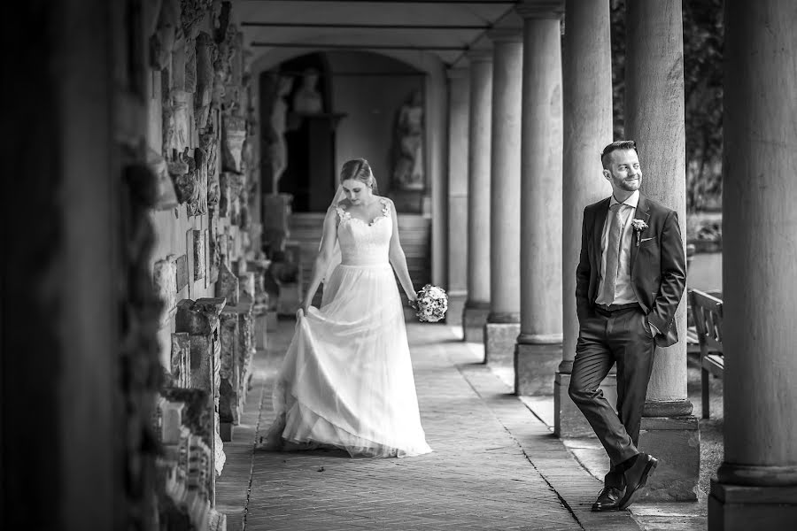 Fotógrafo de casamento Reza Shadab (shadab). Foto de 26 de junho 2017