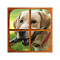 Item logo image for Dogs Puzzle