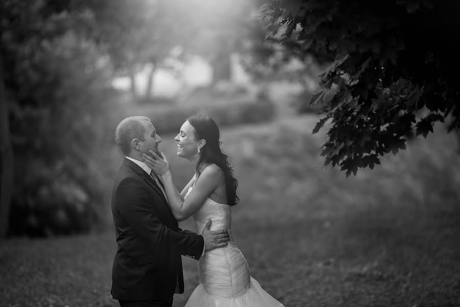 Wedding photographer Olya Shlemenkova (missolka). Photo of 5 October 2014