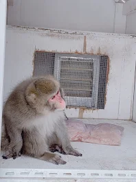 とうとう来やがっなり‼️卒業式‼️