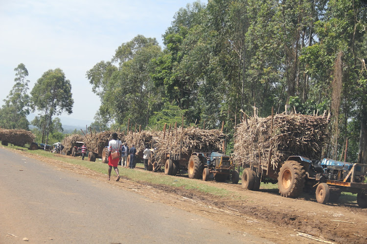 Some trucks loaded with sugarcane in Ndhiwa