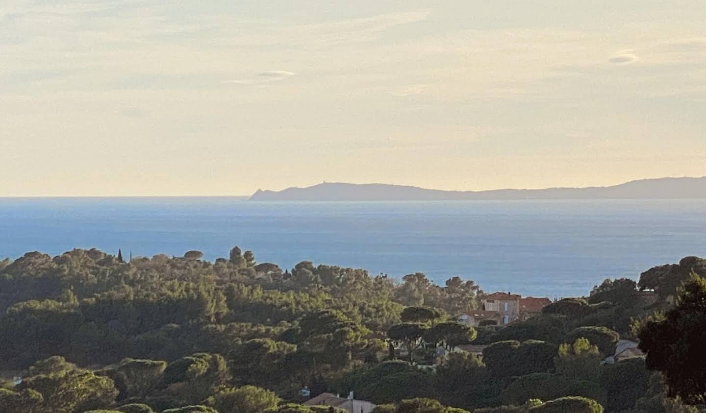 Appartement avec terrasse et piscine La Croix-Valmer