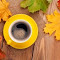Осень (Sielena theme): изображение логотипа