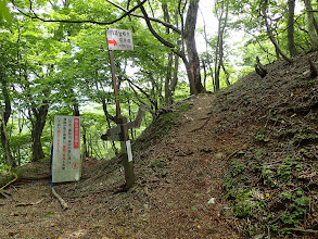 下山は尾根道（右）で