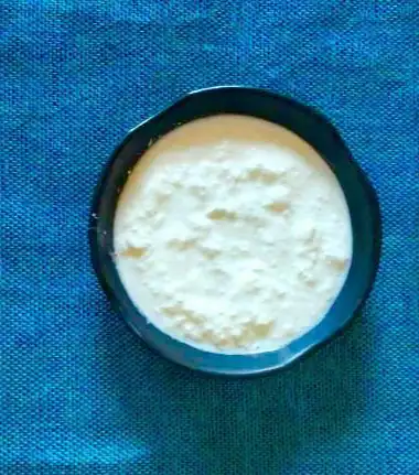 Plain Curd [100 Ml]