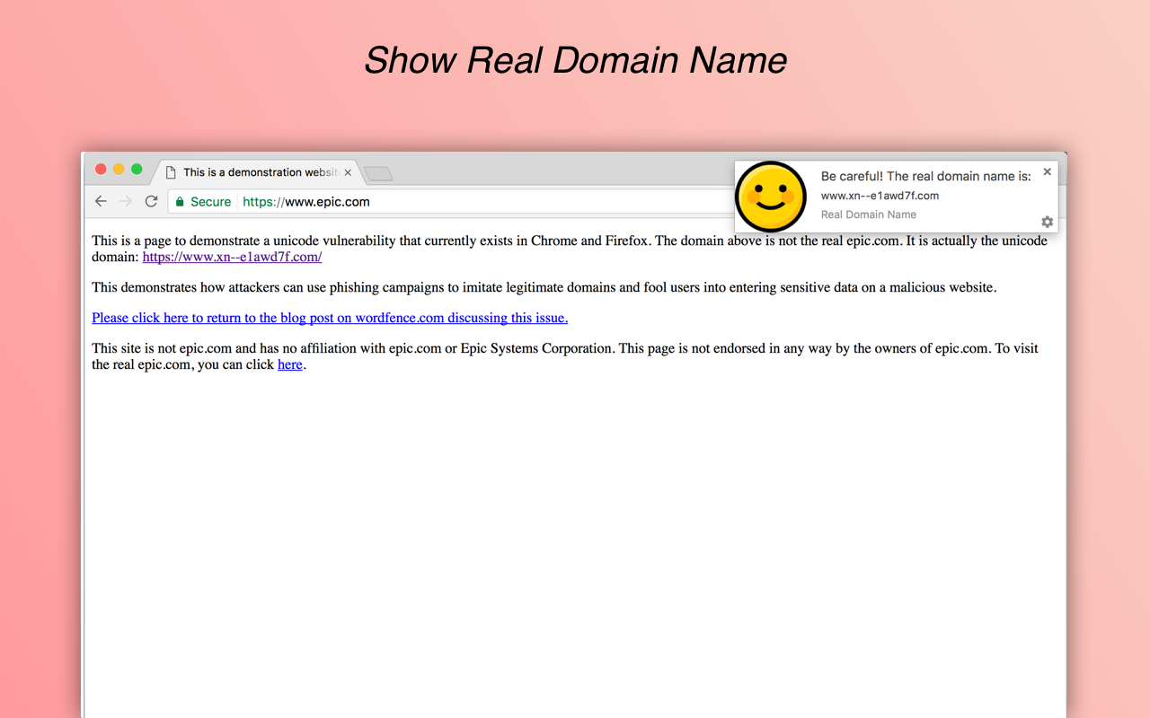 Real Domain Name Preview image 4