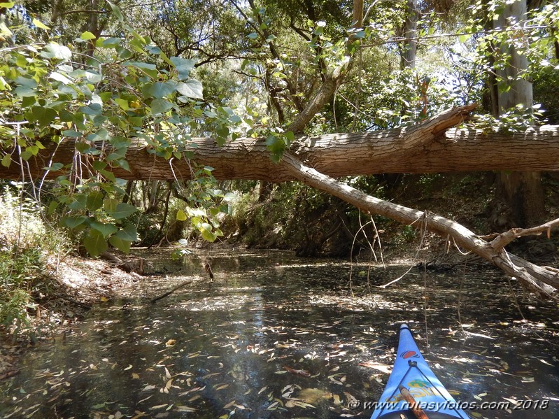 Kayak río Palmones