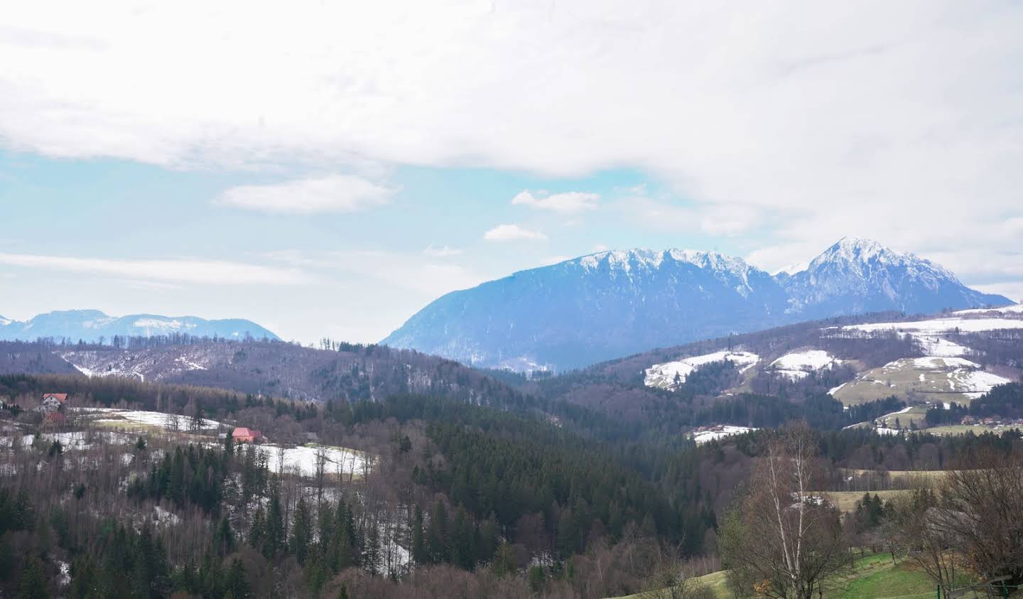 Villa avec jardin et terrasse Brașov