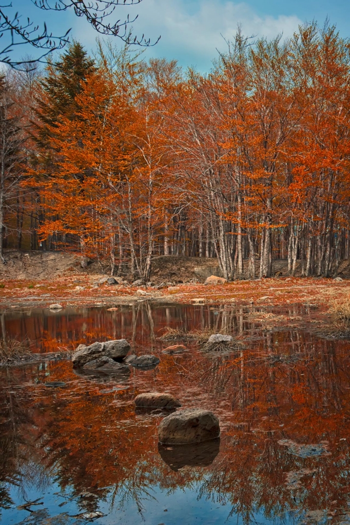 Il riposo della natura di Samuele Tronchi