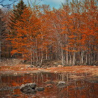 Il riposo della natura di 