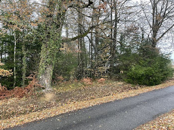 terrain à Saint-Léonard-de-Noblat (87)