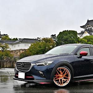 CX-3 DKEFW