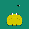 Complex gifs