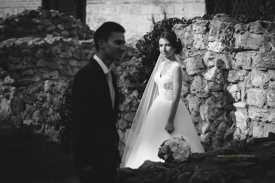 Wedding photographer Gilmeanu Constantin Razvan (gilmeanurazvan). Photo of 1 November 2017