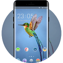 Baixar Beautiful bird theme colorful brilliant   Instalar Mais recente APK Downloader