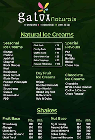 Gatox Natural Ice Cream menu 3