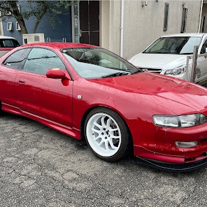 カレン ST206