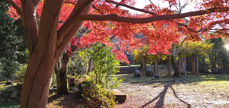 フィットの紅葉シーズン・いつもイイネ&コメントありがとうございます🙇‍♂️・近場散策・もっちーさんの妄想・笑顔になれたならに関するカスタム事例の投稿画像11枚目
