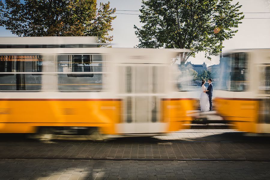 Photographe de mariage Gabriella Hidvégi (gabriellahidveg). Photo du 25 octobre 2019