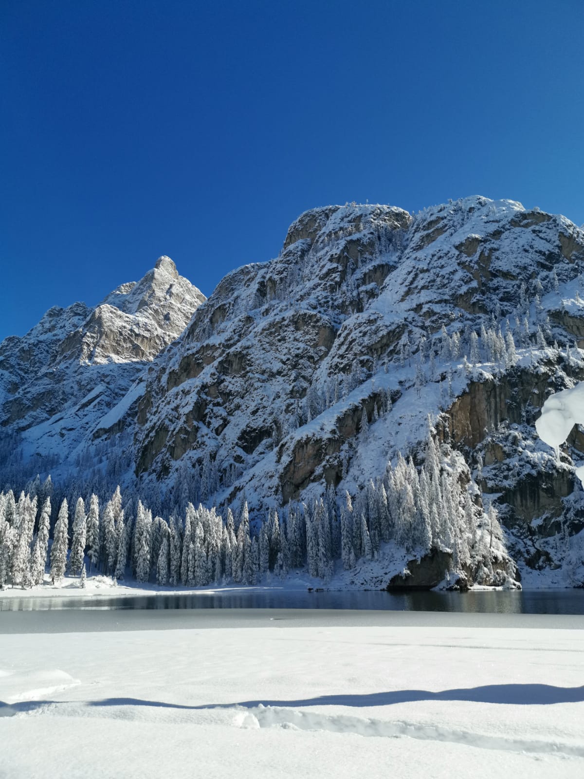 Prima neve di gennaio di eleulai