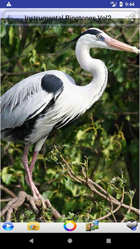 Instrumental Ringtones, Best of 2020 Ringtones