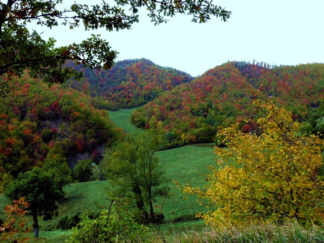 Tavolozza autunnale di branca