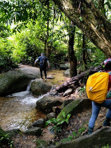 Bukit Kutu via Pertak stream crossing