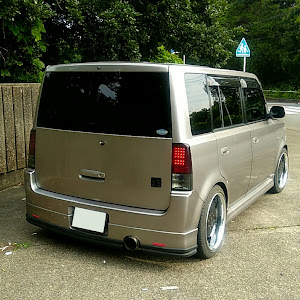 bB NCP31