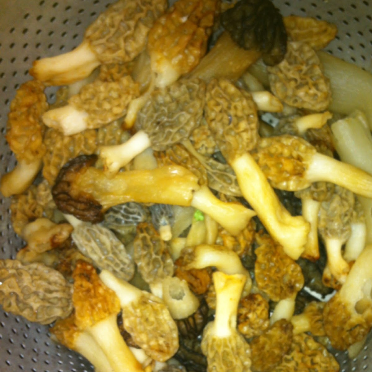 Morel mushrooms