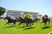 Horses finishing their race the 2016 J&B Met at Kenilworth Race Course on January 30, 2016 in Cape Town.