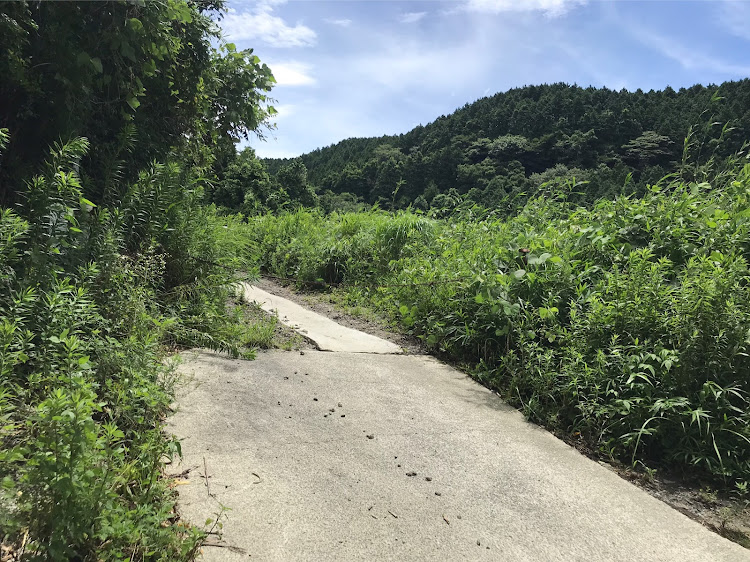 ジムニーシエラの阿蘇ツーリング・シーサーの置物・マッタリツーリング・魔道・険道に関するカスタム事例の投稿画像3枚目