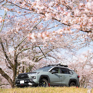 RAV4 MXAA54