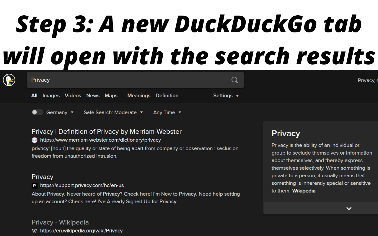 Search With DuckDuckGo Preview image 5