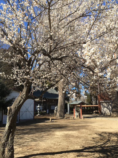 妻戀神社