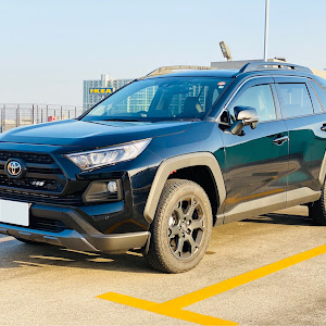 RAV4 MXAA54